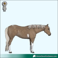 Horse Color:Silver Smoky Black Tobiano