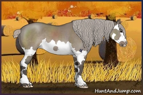 Horse Color:Silver Grullo Splash