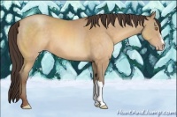 Horse Color:Sable Champagne 