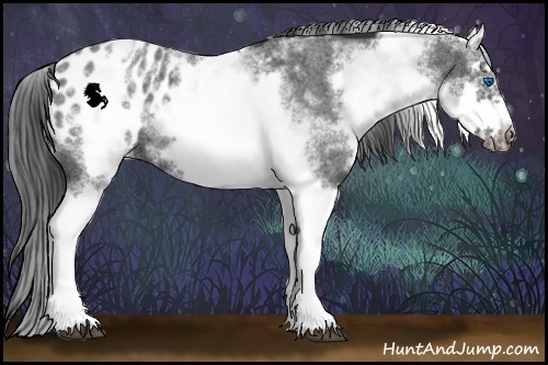 Horse Color:White Spotted Blue Roan Splash Frame Appaloosa 