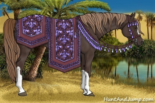 Horse Color:Liver Chestnut Rabicano 