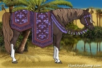 Horse Color:Liver Chestnut Rabicano 