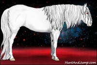 Horse Color:Palomino Chinchilla Pearl Appaloosa 