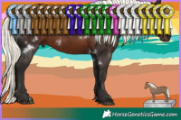 Horse Color:White Spotted Liver Chestnut Mushroom Rabicano 