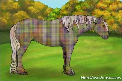 Horse Color:Nacre Plaid  Liver Chestnut Rabicano 