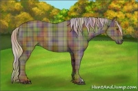 Horse Color:Nacre Plaid Liver Chestnut Rabicano