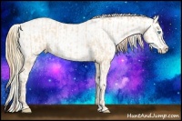 Horse Color:Buckskin Roan Pearl and Buckskin Roan Pearl Appaloosa