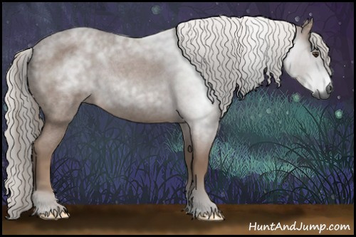 Horse Color:Gray Liver Red Roan Rabicano 