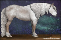 Horse Color:Gray Liver Red Roan Rabicano 