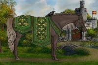 Horse Color:Liver Chestnut Rabicano 