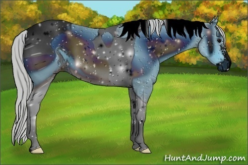 Horse Color:ERROR: UNKNOWN ANOMALY