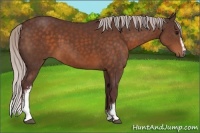 Horse Color:White Spotted Chocolate Silver Brown
