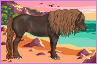 Horse Color:Liver Chestnut Rabicano