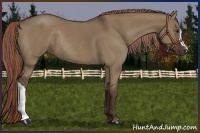 Horse Color:Liver Red Dun Rabicano 