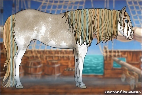 Horse Color:Painted Liver Red Dun Roan Sabino Splash Rabicano 