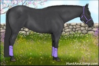 Horse Color:Blue Roan 