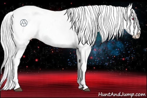 Horse Color:Brown Chinchilla Roan Pearl Appaloosa Rabicano 