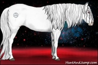 Horse Color:Brown Chinchilla Roan Pearl Appaloosa Rabicano