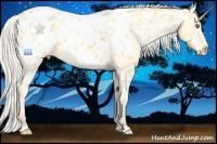 Horse Color:Silver Sable Cream Champagne Dun Appaloosa 