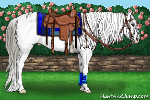 Horse Color:Liver Chestnut Mushroom Snowflake Varnish