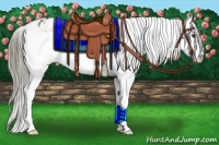 Horse Color:Liver Chestnut Mushroom Snowflake Varnish 
