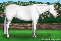 Horse Color:Liver Chestnut Tobiano Blanket 