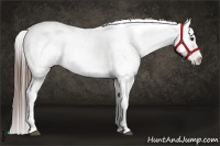 Horse Color:Liver Chestnut Tobiano Frame Appaloosa