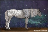 Horse Color:Painted Silver Black Ice