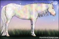Horse Color:Nacre Cremello Ice Onyx 