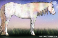 Horse Color:Nacre Perlino Ice Onyx