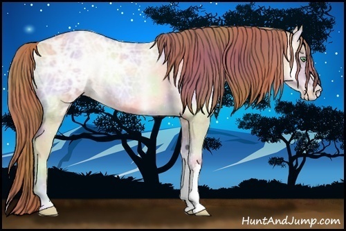 Horse Color:Nacre Buckskin Ice Roan Pearl Onyx 