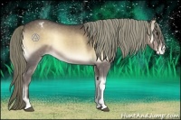 Horse Color:Liver Red Onyx Roan Appaloosa 