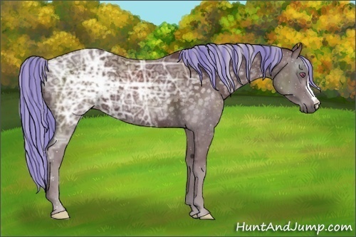 Horse Color:Painted Chocolate Silver Black Chinchilla Ice 