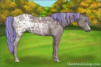 Horse Color:Painted Chocolate Silver Black Chinchilla Ice 