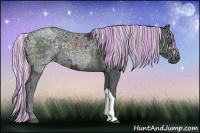 Horse Color:Painted Silver Black Chinchilla Ice 