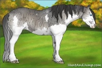 Horse Color:Blue Onyx Ice Splash