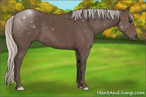 Horse Color:Silver Black 