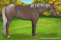 Horse Color:Silver Black 