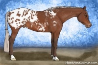 Horse Color:Silver Bay Appaloosa 