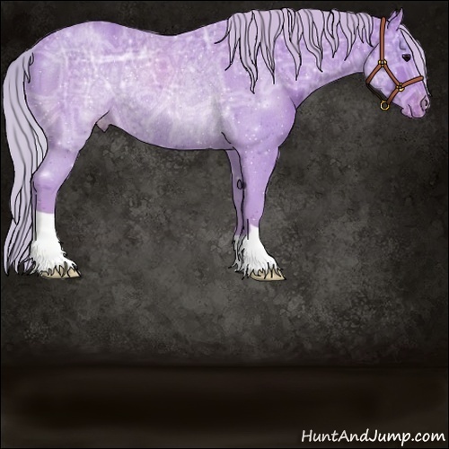 Horse Color:Watercolor Silver Black Ice Varnish Rabicano