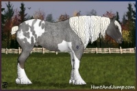 Horse Color:Liver Red Roan Tobiano Appaloosa