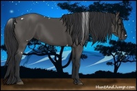 Horse Color:White Spotted Black 