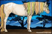 Horse Color:Painted Gold Champagne Pearl Appaloosa Rabicano 