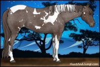 Horse Color:White Spotted Liver Chestnut Tobiano Varnish 