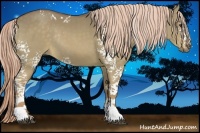 Horse Color:White Spotted Chocolate Palomino Dun Rabicano 