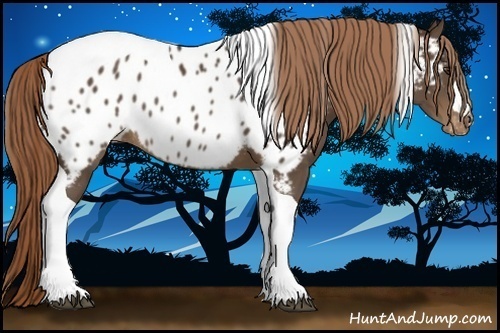 Horse Color:Liver Chestnut Tobiano Near Leopard Rabicano 