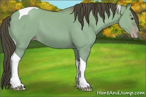 Horse Color:Classic Champagne Dun Tobiano 