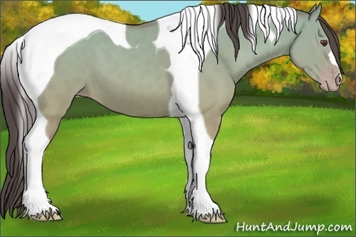 Horse Color:Classic Champagne Dun Tobiano 