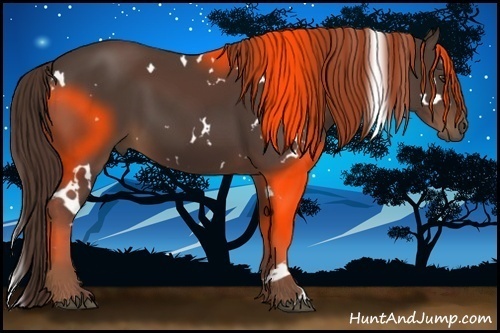 Horse Color:White Spotted Liver Chestnut 