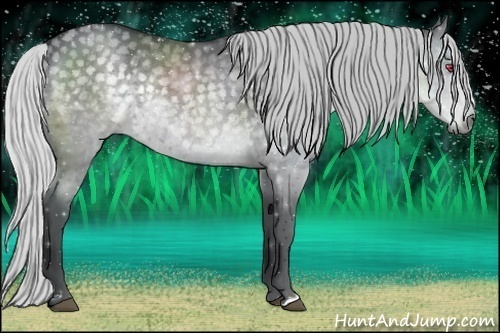 Horse Color:Silver Black Chinchilla 